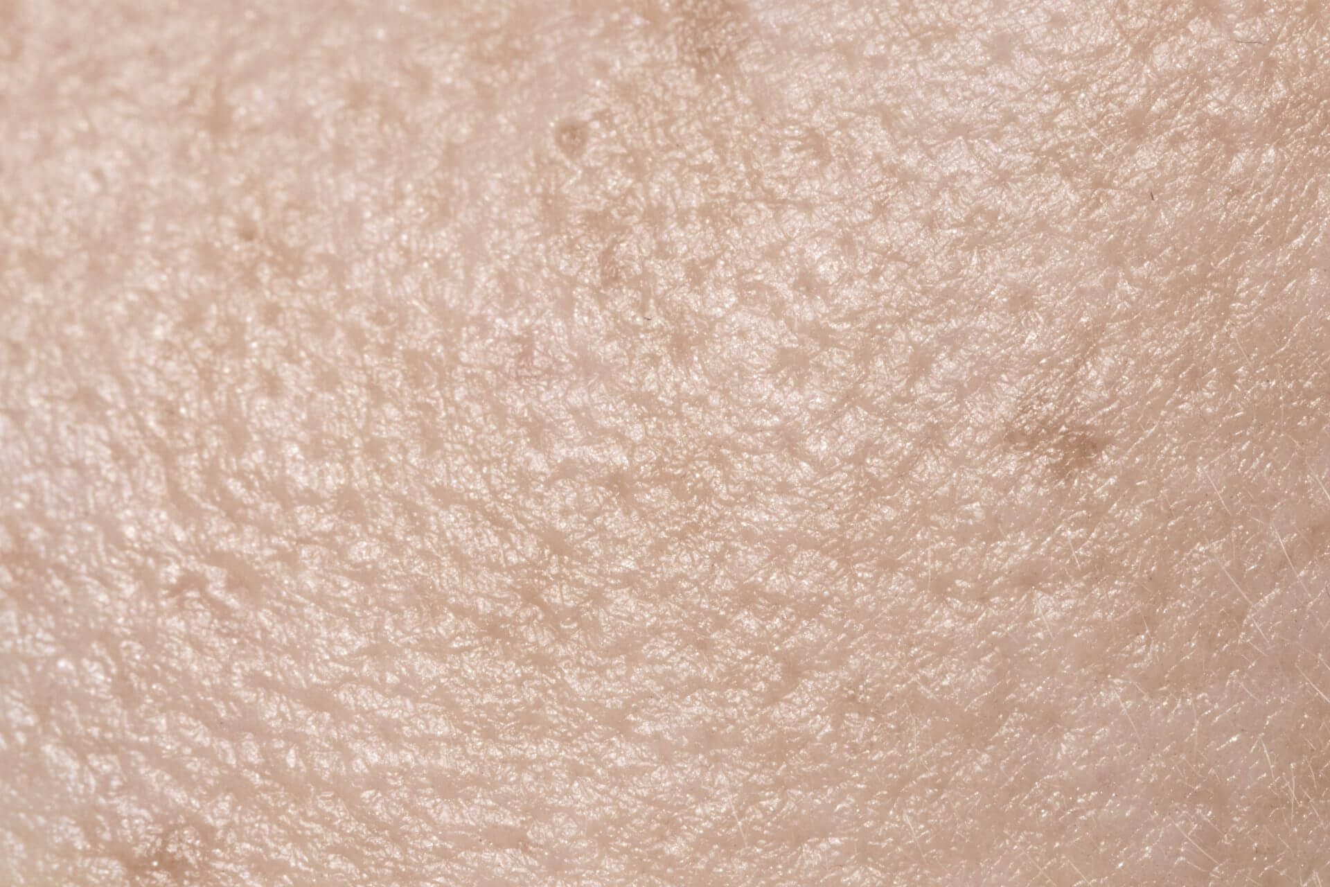 Close up pores texture